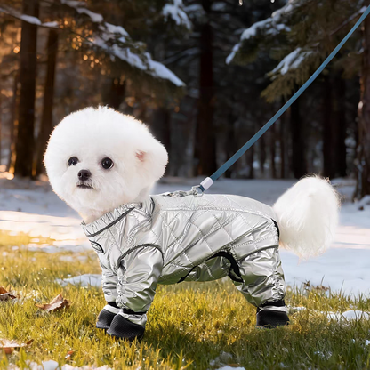 Small white dog in a silver raincoat standing on grass with a snowy background