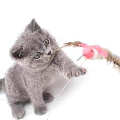 Automatic Electric Rotating cat Toy - Cutier Store
