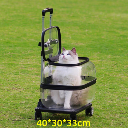 Pet Trolley transparent Suitcase - Cutier Store