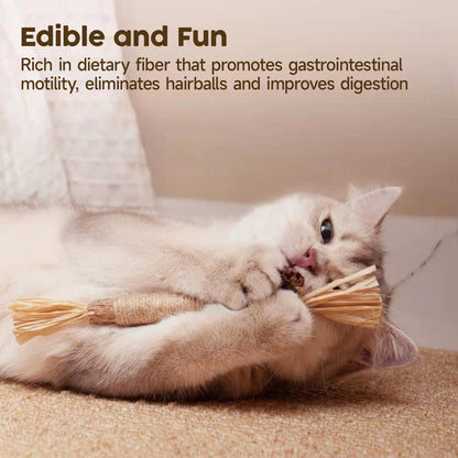 Cat Toys Silvervine Chew Stick - PP18 - Cutier Store
