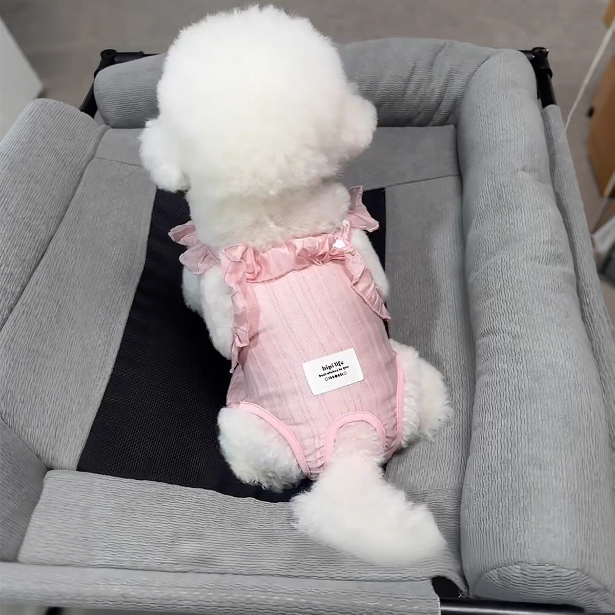 Pink dog menstrual pants