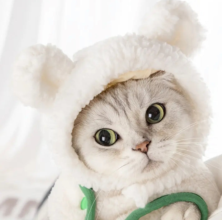 Cute Winter Pet Bear Hat