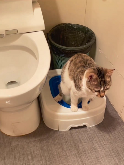 Cat using a pet litter box next to a toilet in a bathroom.