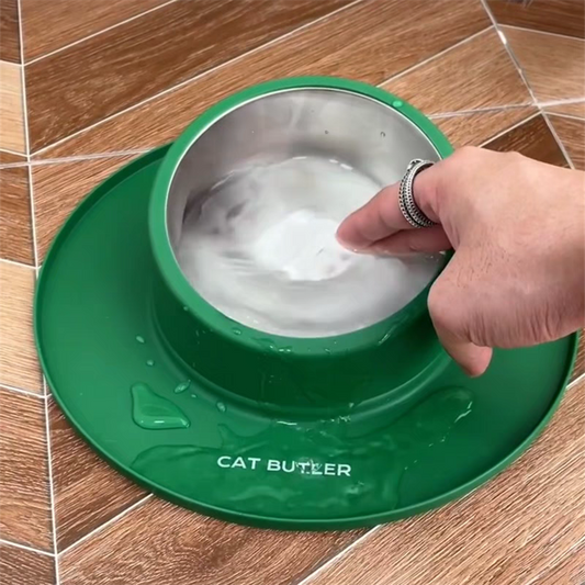 Cat Anti Slip Bowl Dog Suction Bowl - Cutier Store
